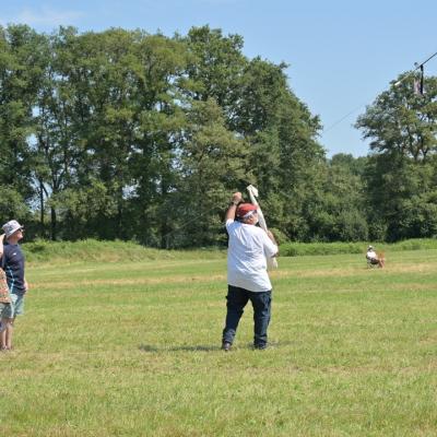 2024 cerf volants bonbons